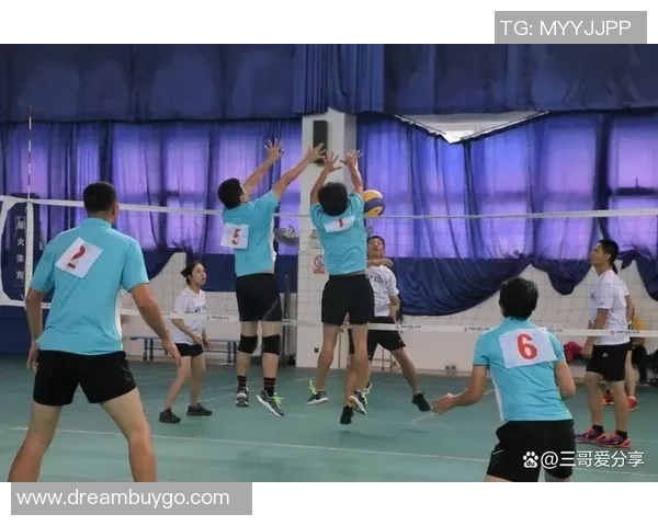 武汉排球队团队协作新模式引发热议助力排球运动发展